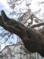 typhoon burinng wind 3